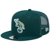 Snapbacks