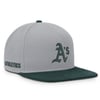 Snapbacks