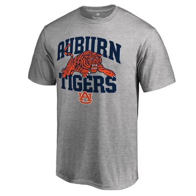 Auburn Tigers Stripes Hometown Collection T-Shirt - Ash