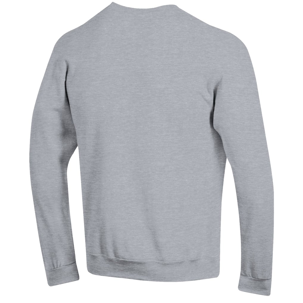 Auburn Tigers Champion Team Fleece Pullover Sweatshirt - Gray