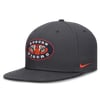 Fitted