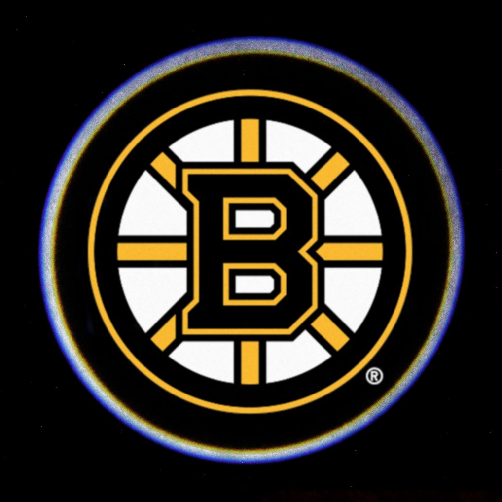 Boston Bruins Car Door Light
