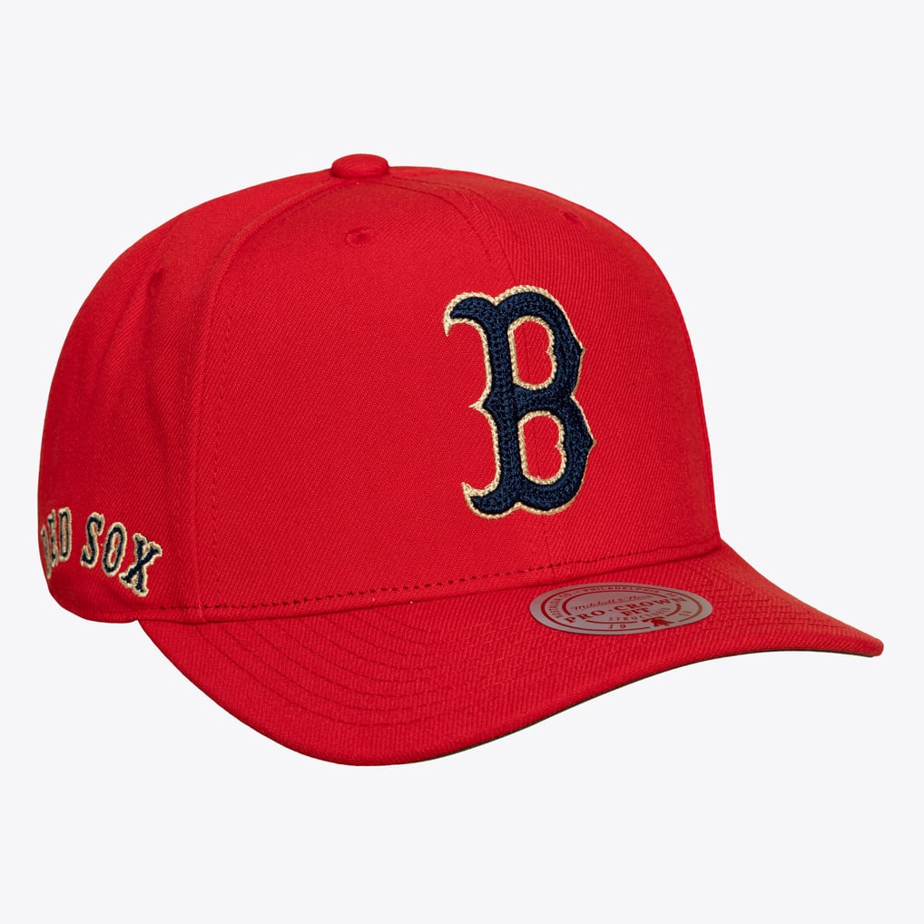 Boston Red Sox Mitchell & Ness Fenway Park 100th Anniversary Patch Secondary Pro Snapback Hat - Red