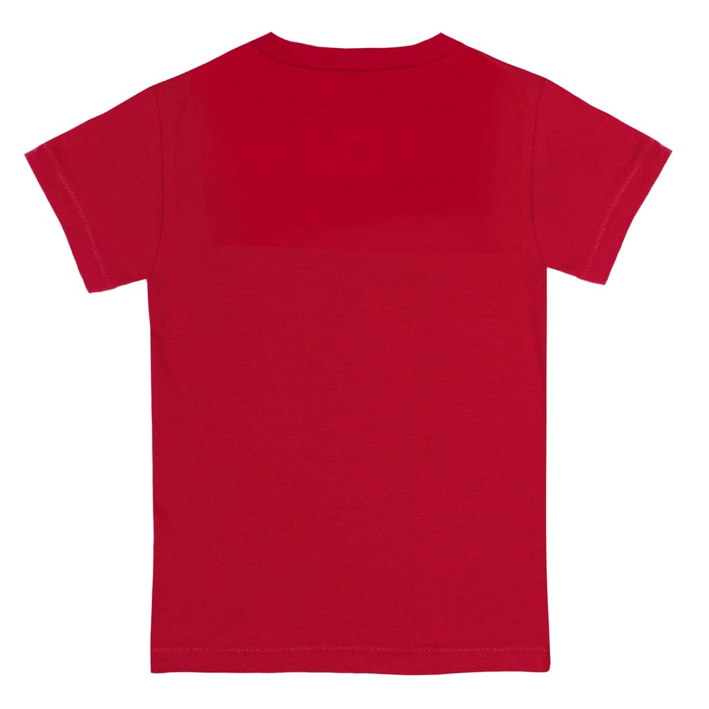 Boston Red Sox Tiny Turnip Toddler Stitched Baseball T-Shirt - Red