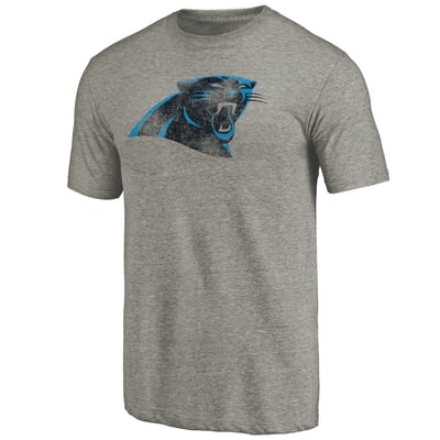 Carolina Panthers Distressed Team T-Shirt - Ash