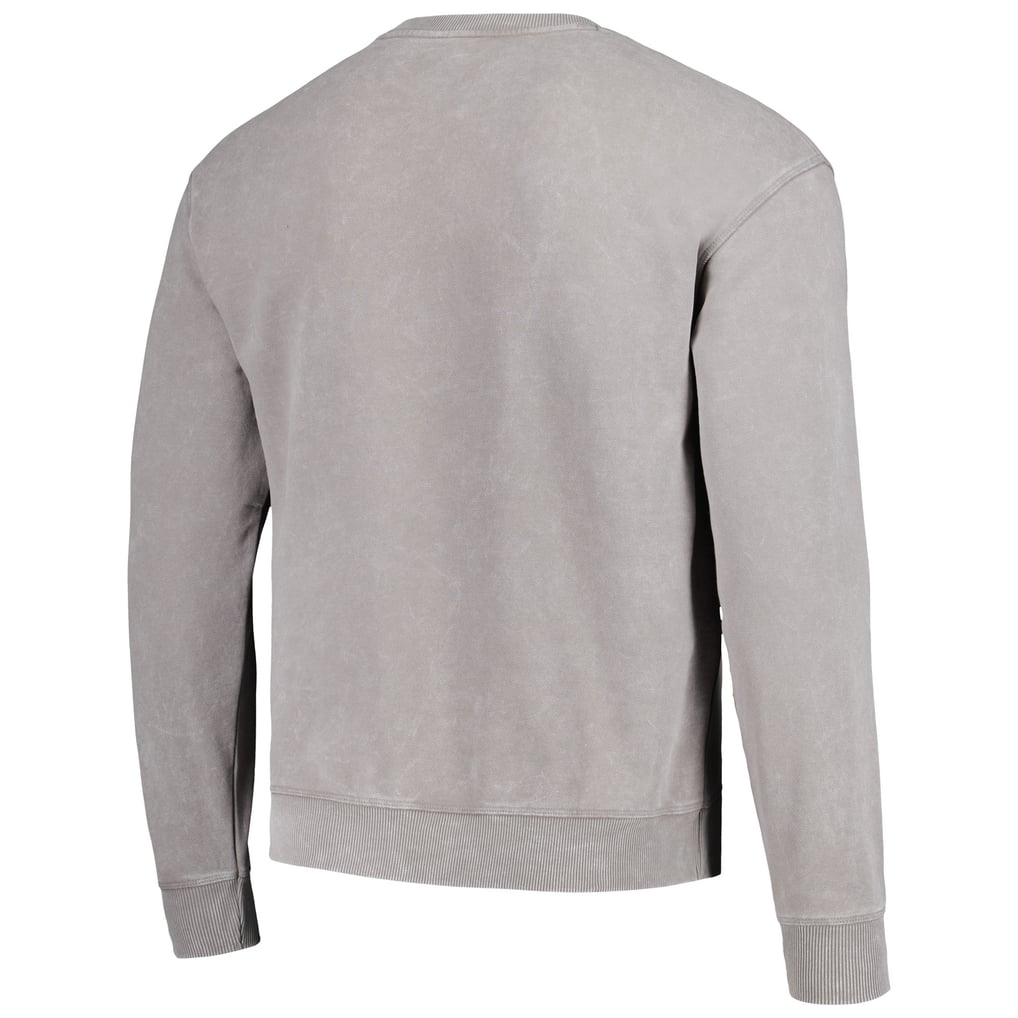 Carolina Panthers The Wild Collective Unisex Distressed Pullover Sweatshirt - Gray