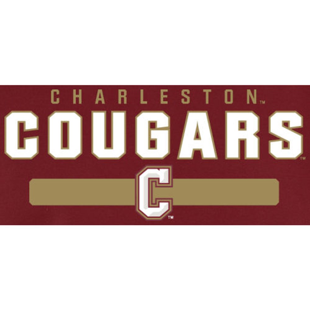 Charleston Cougars Team Strong Pullover Hoodie - Maroon