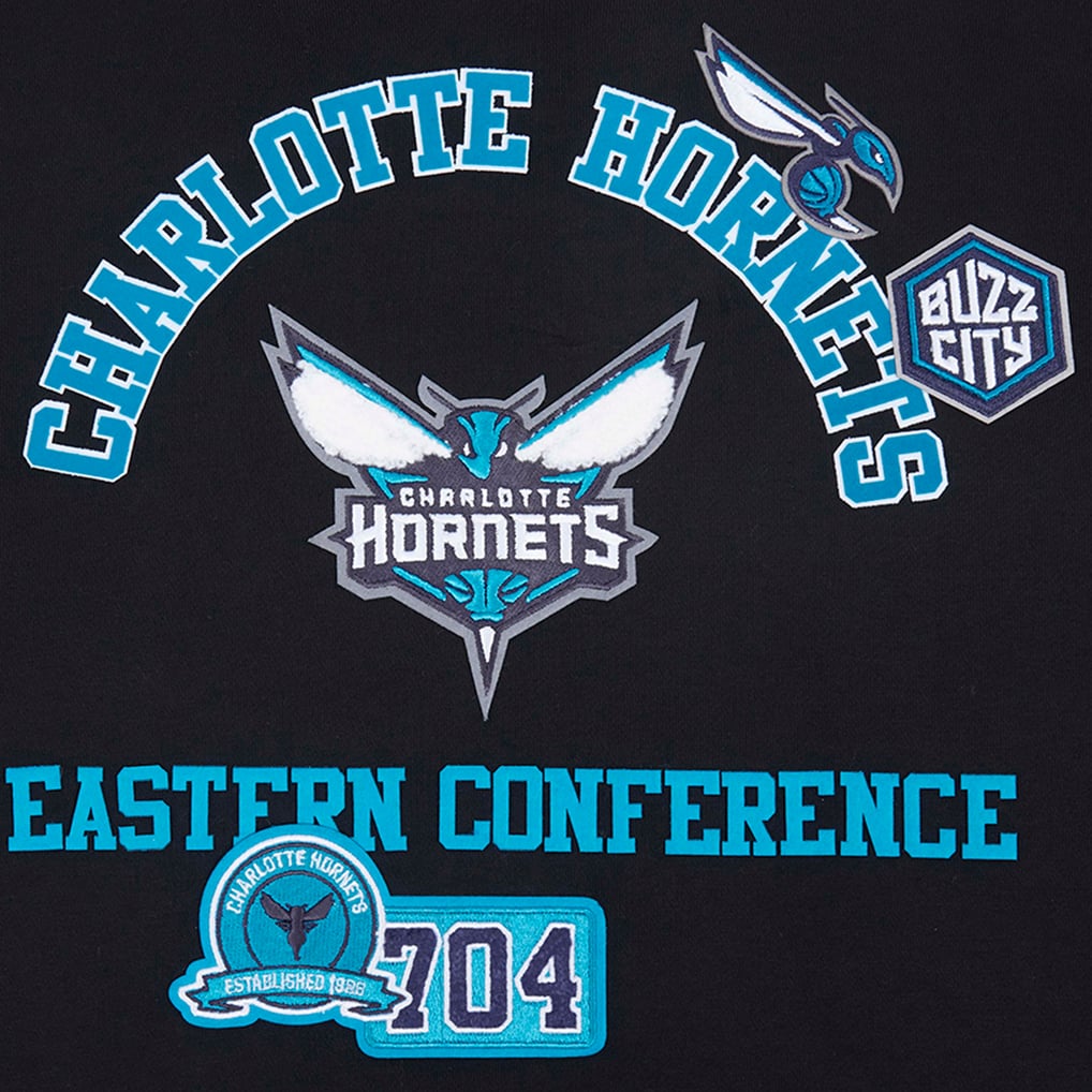 Charlotte Hornets Pro Standard Area Code Pullover Hoodie - Black