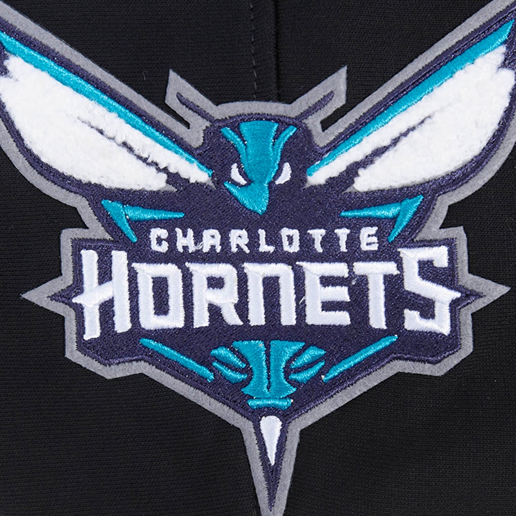 Charlotte Hornets Pro Standard Area Code Pullover Hoodie - Black