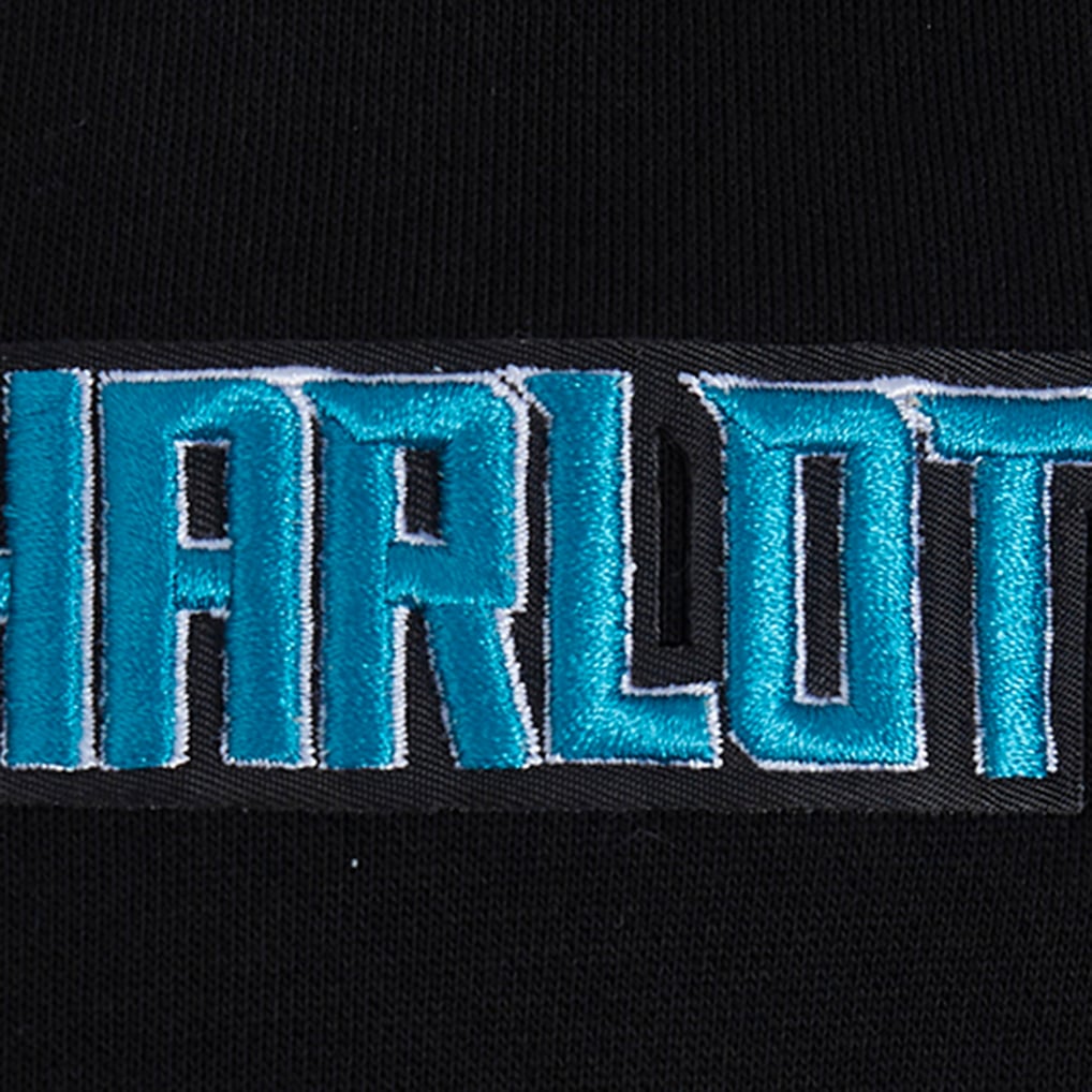 Charlotte Hornets Pro Standard Area Code Pullover Hoodie - Black