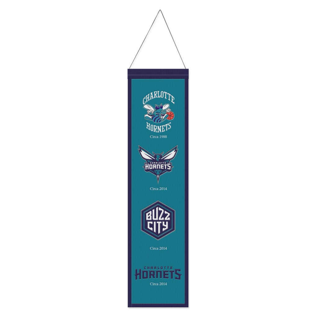 Charlotte Hornets WinCraft 8" x 32" Evolution Banner