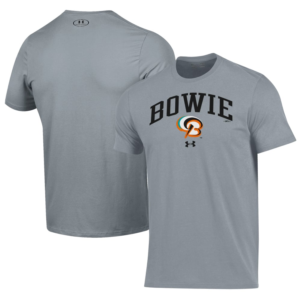 Bowie Baysox Under Armour Performance T-Shirt - Gray