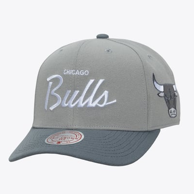 Chicago Bulls Mitchell & Ness Thunderstorm Head Coach Pro Crown Snapback Hat - Gray