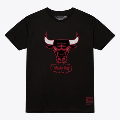  Chicago Bulls Mitchell & Ness Unisex Hardwood Classics Arch T-Shirt - Black