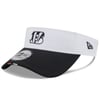 Visors