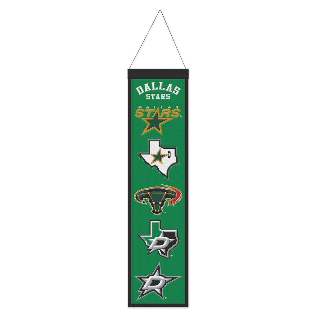 Dallas Stars WinCraft 8" x 32" Evolution Banner