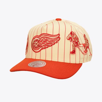  Detroit Red Wings Mitchell & Ness Retro Roots Vintage Stripe Pro Snapback Hat - Cream
