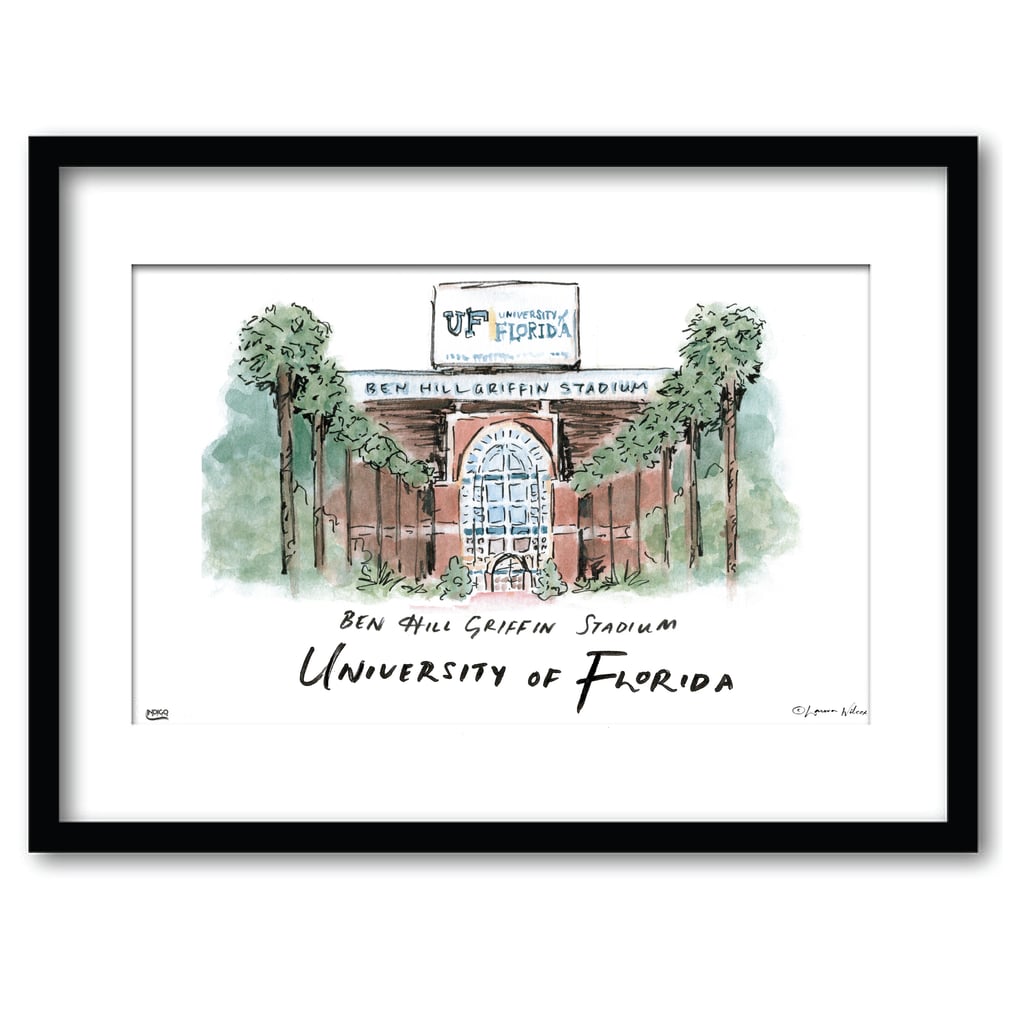 Florida Gators 16" x 20" Framed University Wall Art