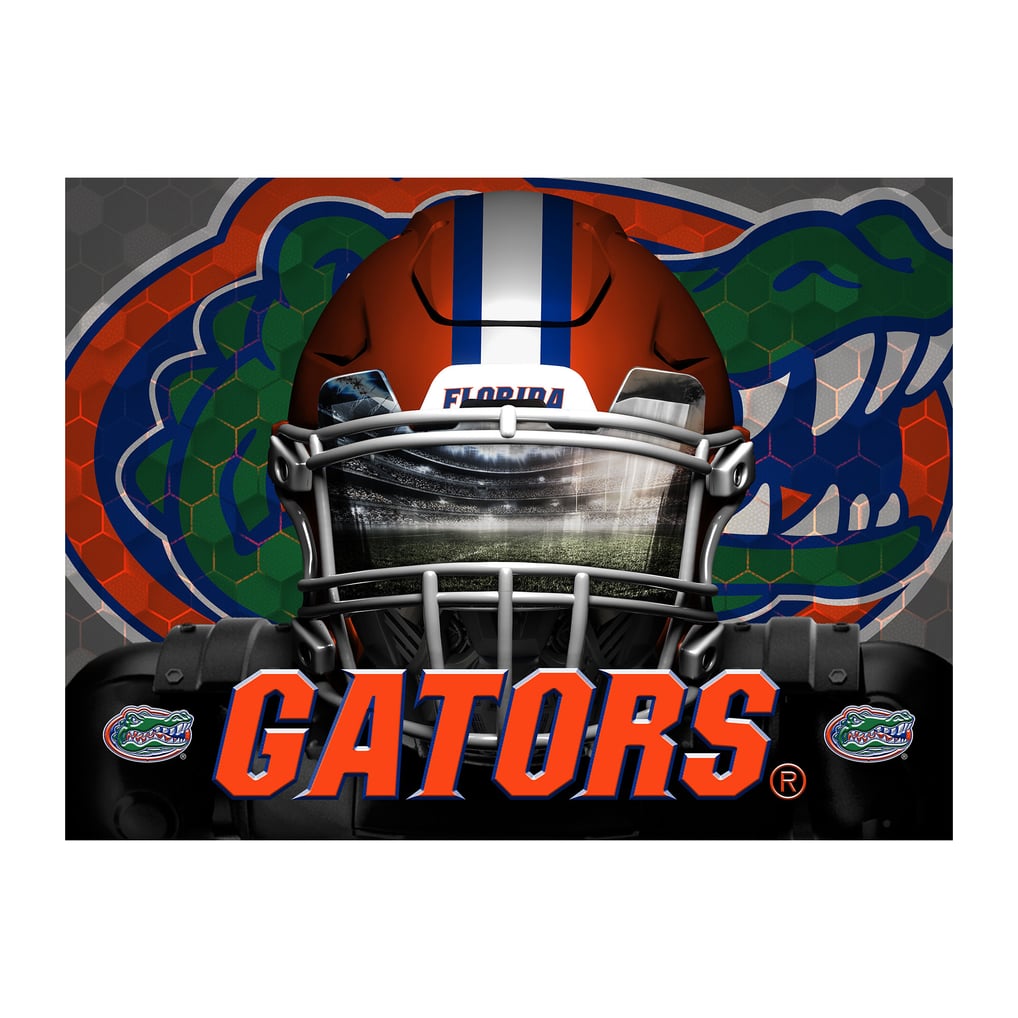 Florida Gators 18" x 24" 3D Lenticular Facemask Puzzle