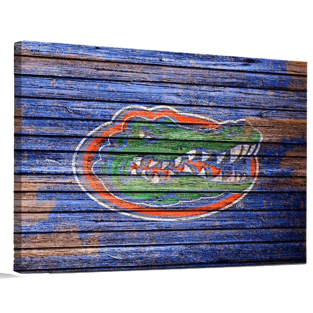 Florida Gators 18" x 24" Weathered Design Canvas Wall Art