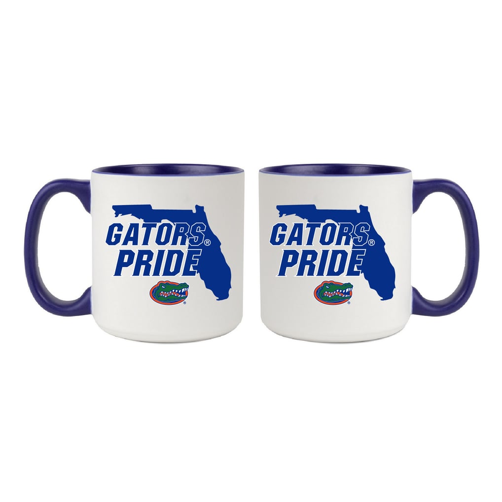 Florida Gators 20oz. My State 2-Pack Mug Set