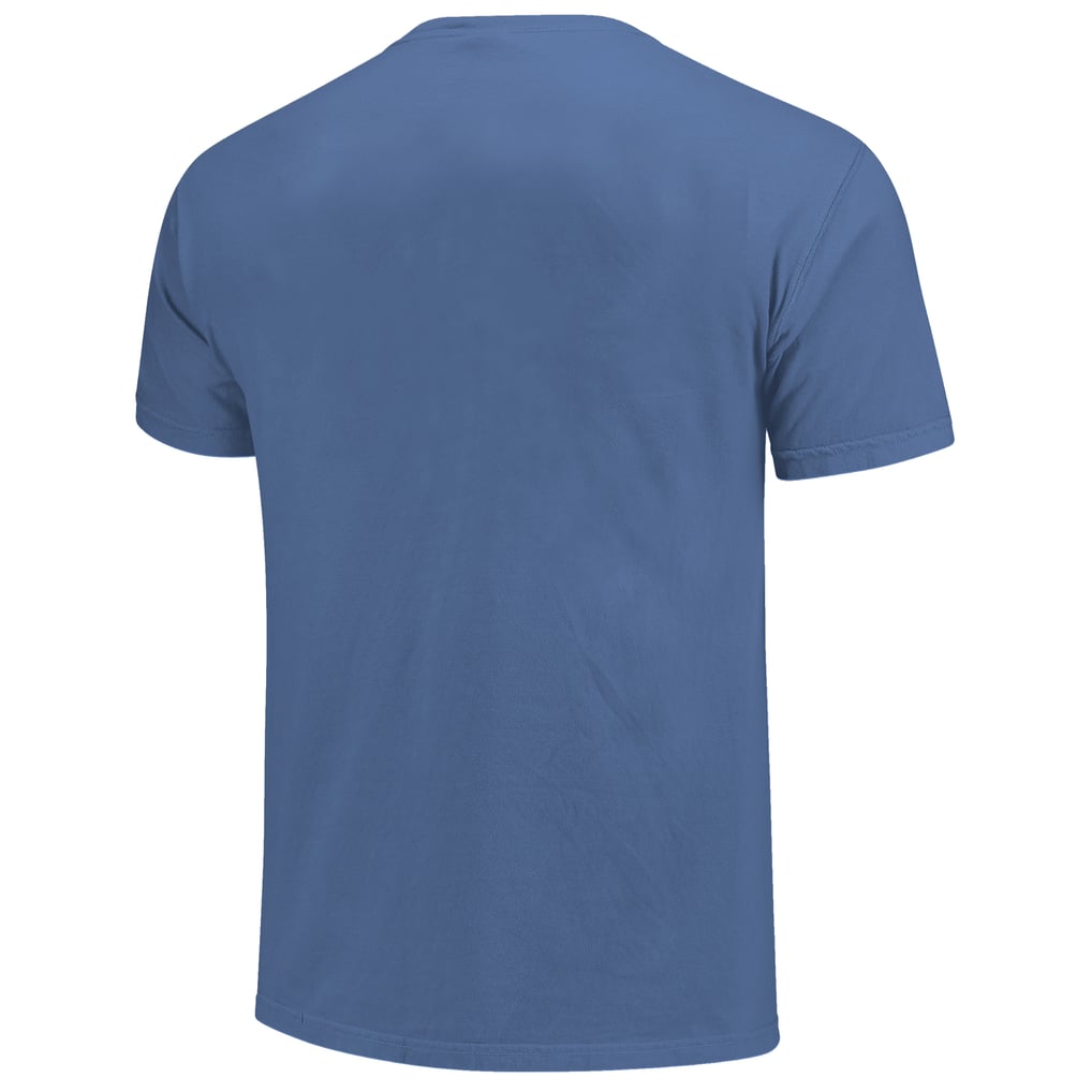  Florida Gators Alumni Script Overlay T-Shirt - Blue
