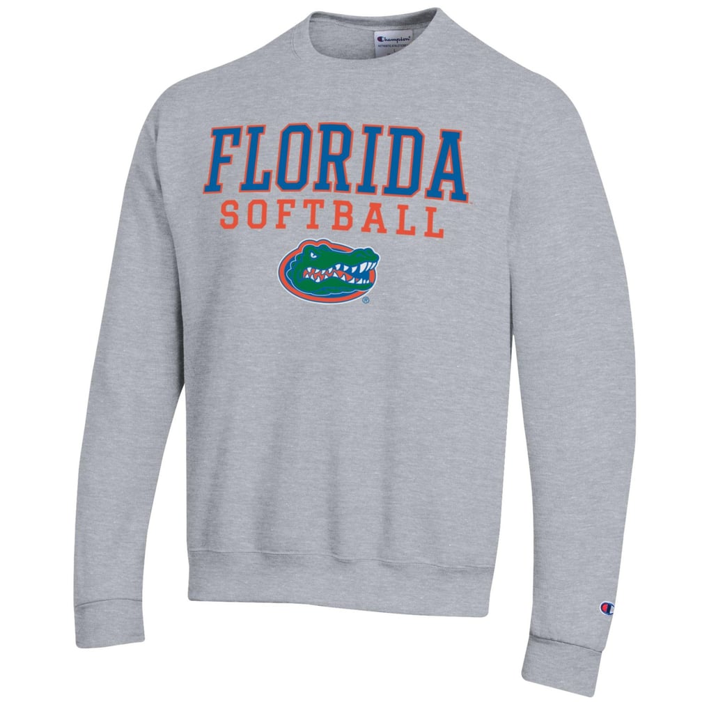 Florida Gators Champion Softball Stack Pullover Crewneck Sweatshirt - Gray