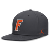Fitted