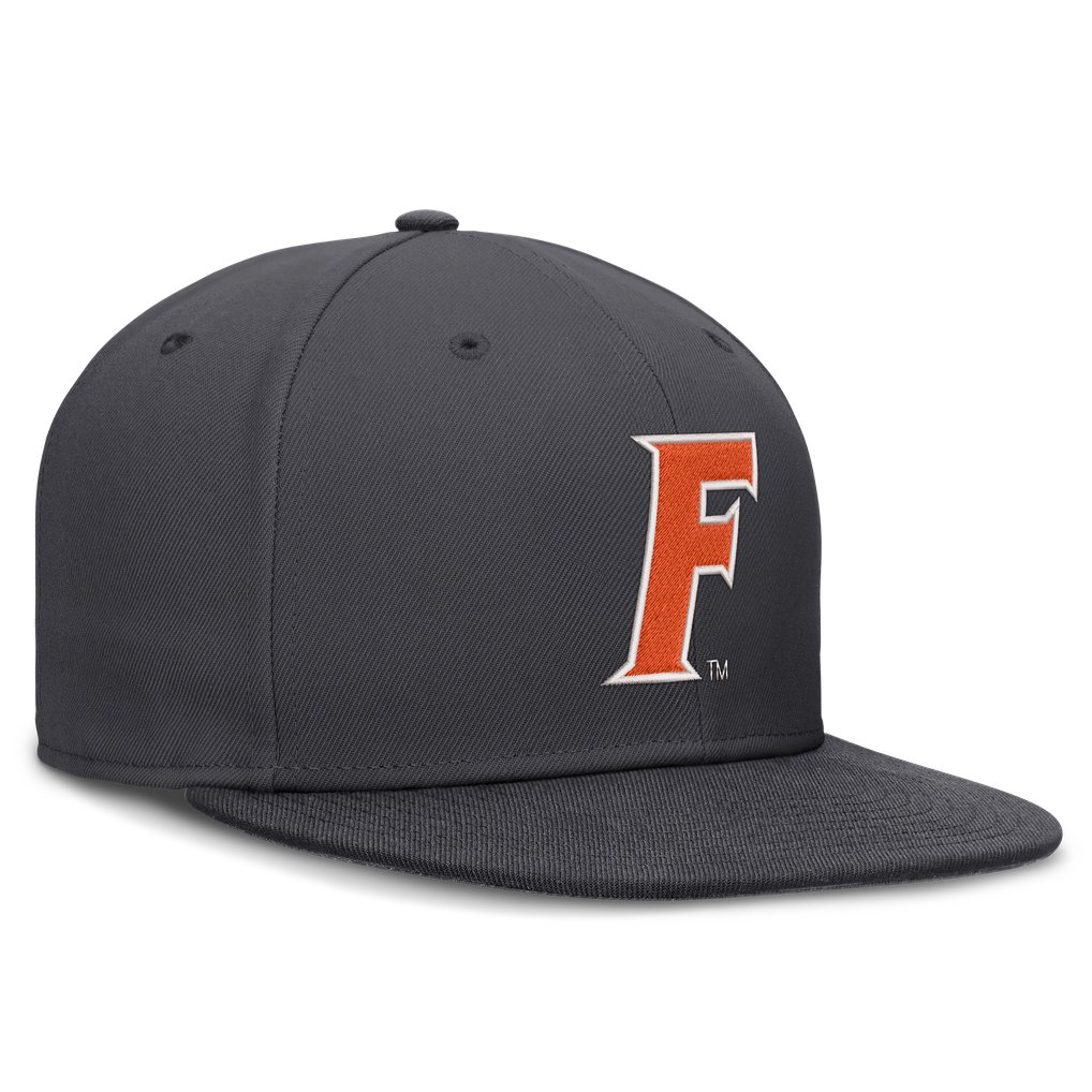 Florida Gators Nike Pro Dri-FIT Fitted Hat - Anthracite