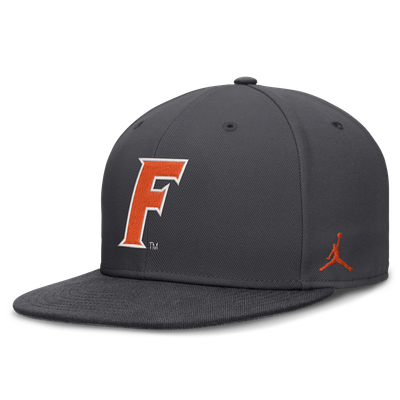 Florida Gators Nike Pro Dri-FIT Fitted Hat - Anthracite
