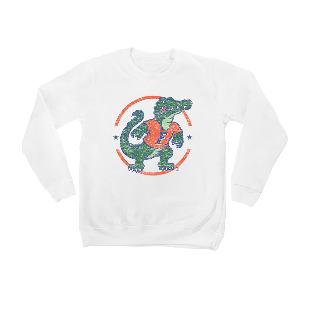 Florida Gators Youth End Zone Pullover Sweatshirt - White