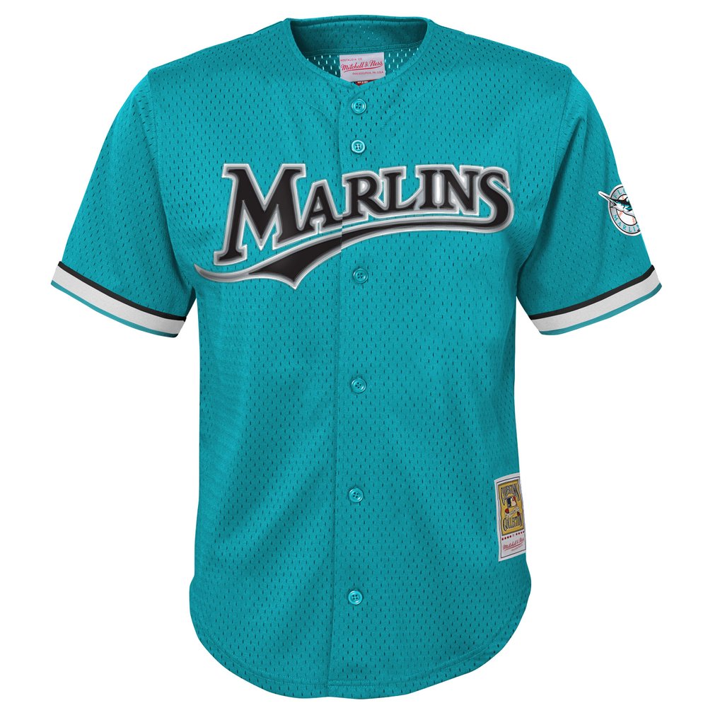 Andre Dawson Florida Marlins Mitchell & Ness Youth Mesh Batting Practice Replica Jersey - Teal