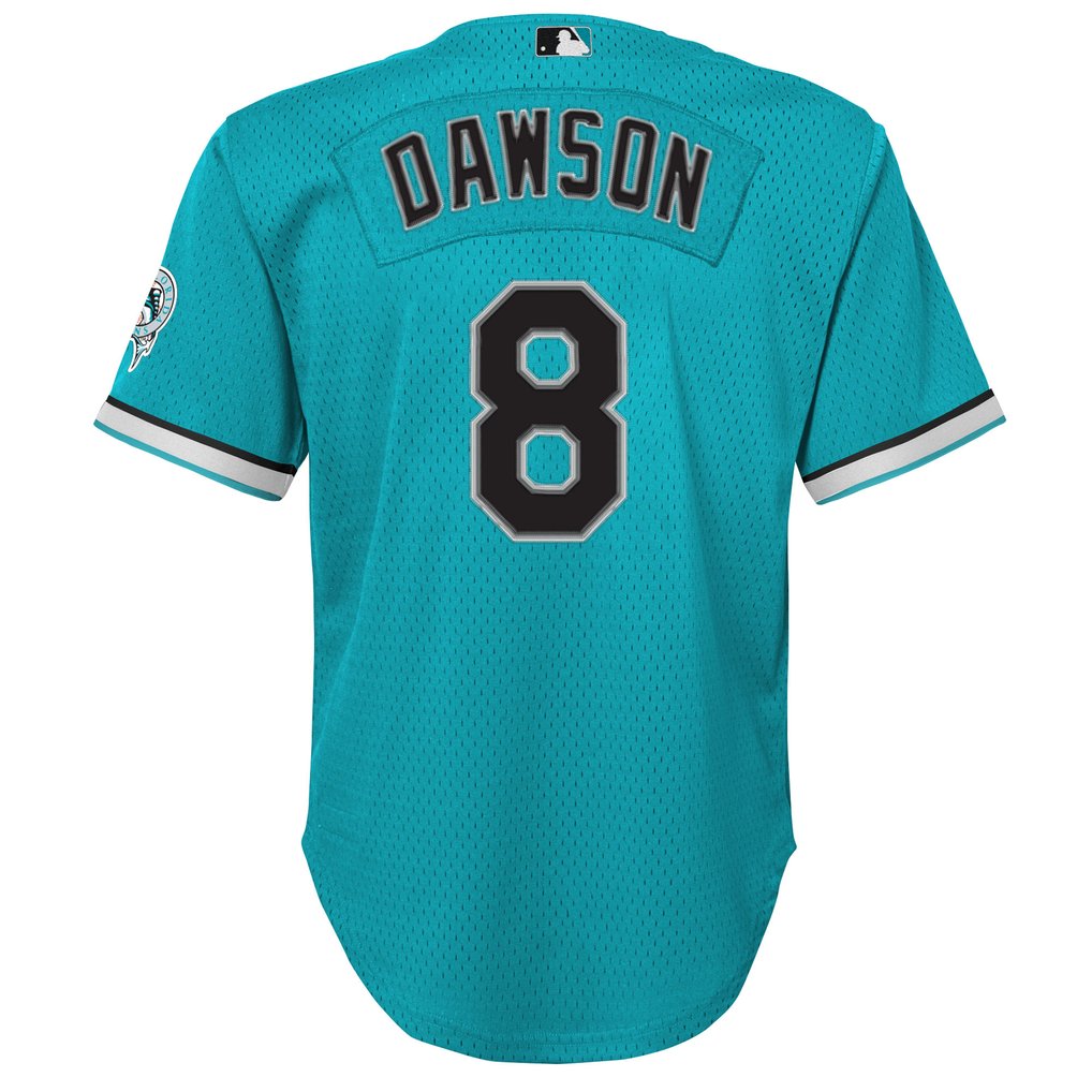 Andre Dawson Florida Marlins Mitchell & Ness Youth Mesh Batting Practice Replica Jersey - Teal