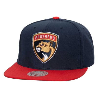 Florida Panthers Mitchell & Ness Core Team Ground 2.0 Snapback Hat - Navy