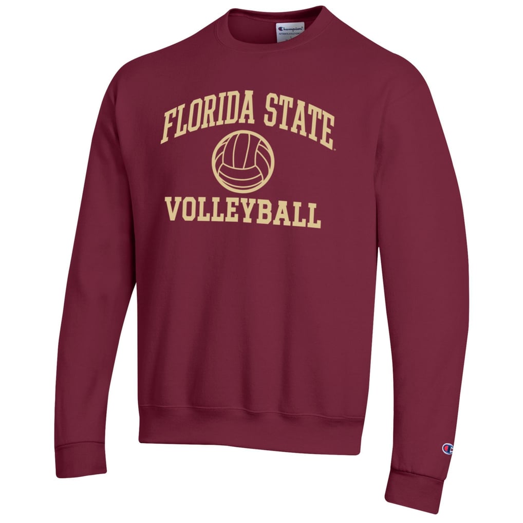 Florida State Seminoles Champion Volleyball Icon Powerblend Pullover Sweatshirt - Garnet