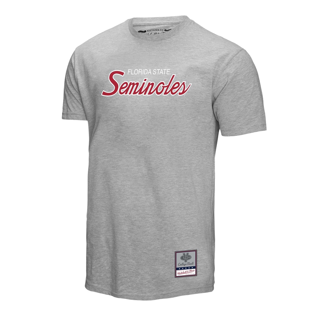  Florida State Seminoles Mitchell & Ness Elite Script T-Shirt - Gray