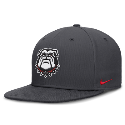 Georgia Bulldogs Nike Pro Dri-FIT Fitted Hat - Anthracite