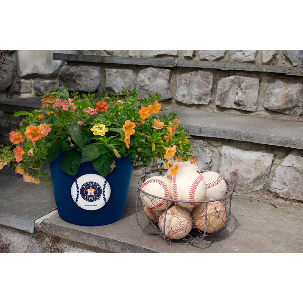 Houston Astros 2-Pack Team Pride Button Pot Set