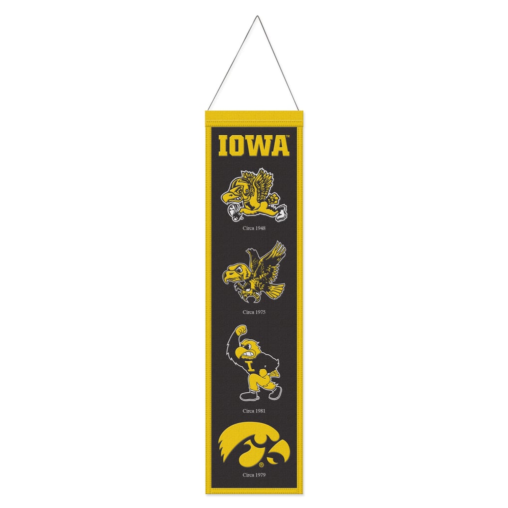 Iowa Hawkeyes WinCraft 8" x 32" Evolution Banner
