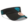 Visors