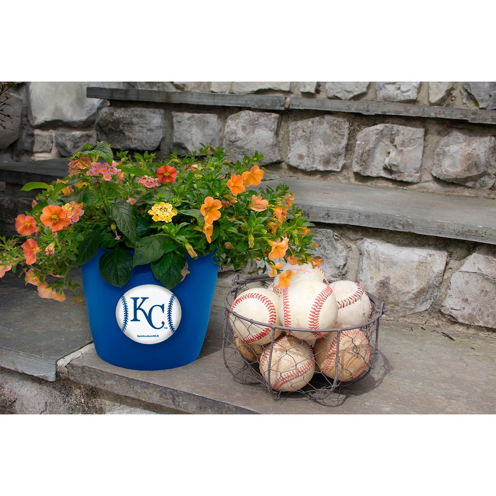 Kansas City Royals 2-Pack Team Pride Button Pot Set