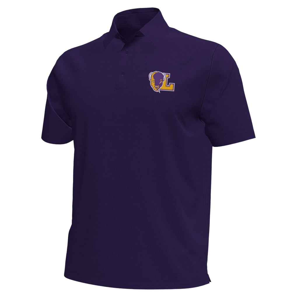 Lipscomb Bisons Under Armour  Aura Solid Polo - Purple