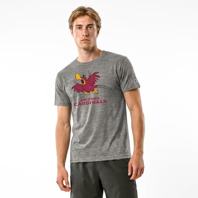 Arizona Cardinals Disney x Champion Iago Tri-Blend T-Shirt - Gray