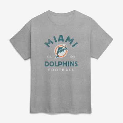  Miami Dolphins Logo Athletic Vintage Arch T-Shirt - Heather Gray