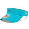 Visors