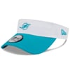Visors
