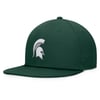 Snapbacks