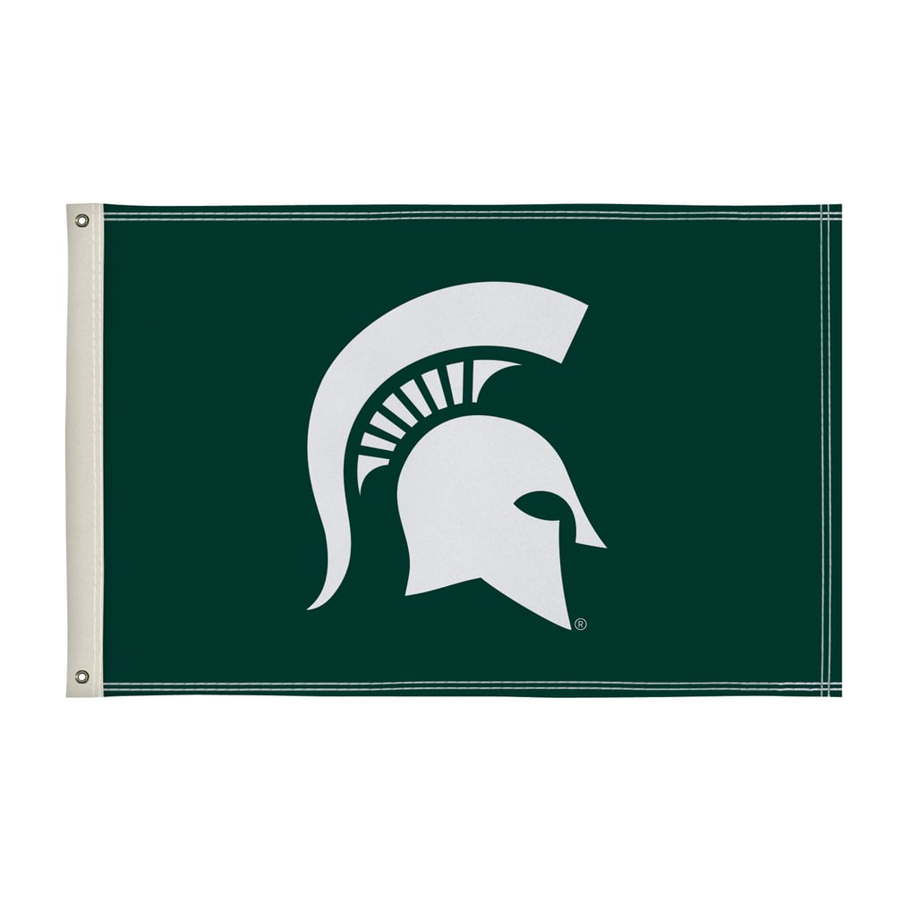 Michigan State Spartans Team 2' x 3' Flag