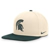 Snapbacks
