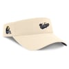 Visors